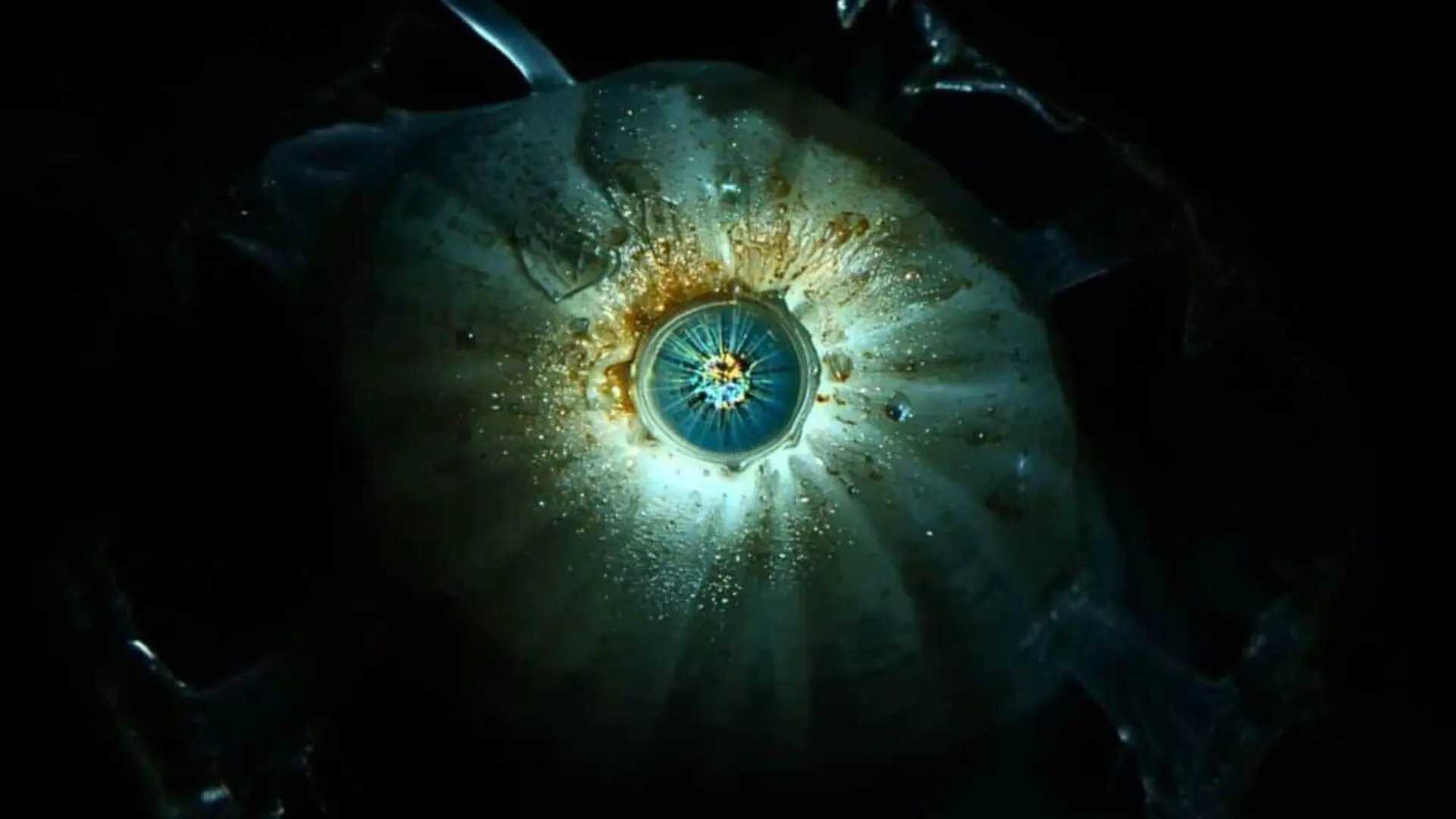 Human Vision May Have Begun With A Tiny One Eyed Sea Creature Scaled