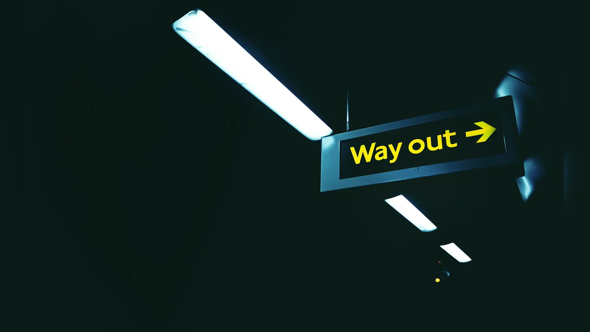 Why Corporations Must Drop Shareholder Primacy to Survive