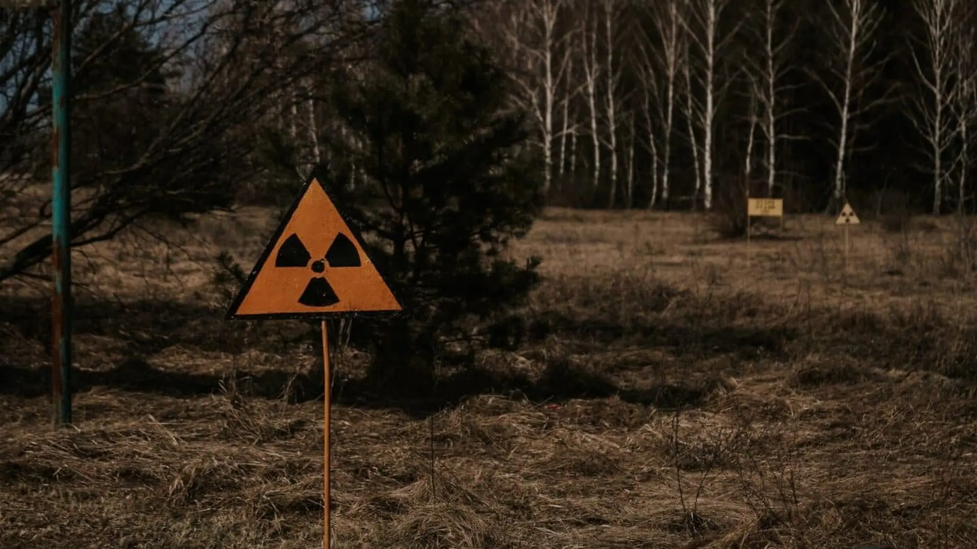 Ukraine Radiation Levels At The Site Of The Forest Burned During The Accident At The Chernobyl Nuclear Power Plant Scaled