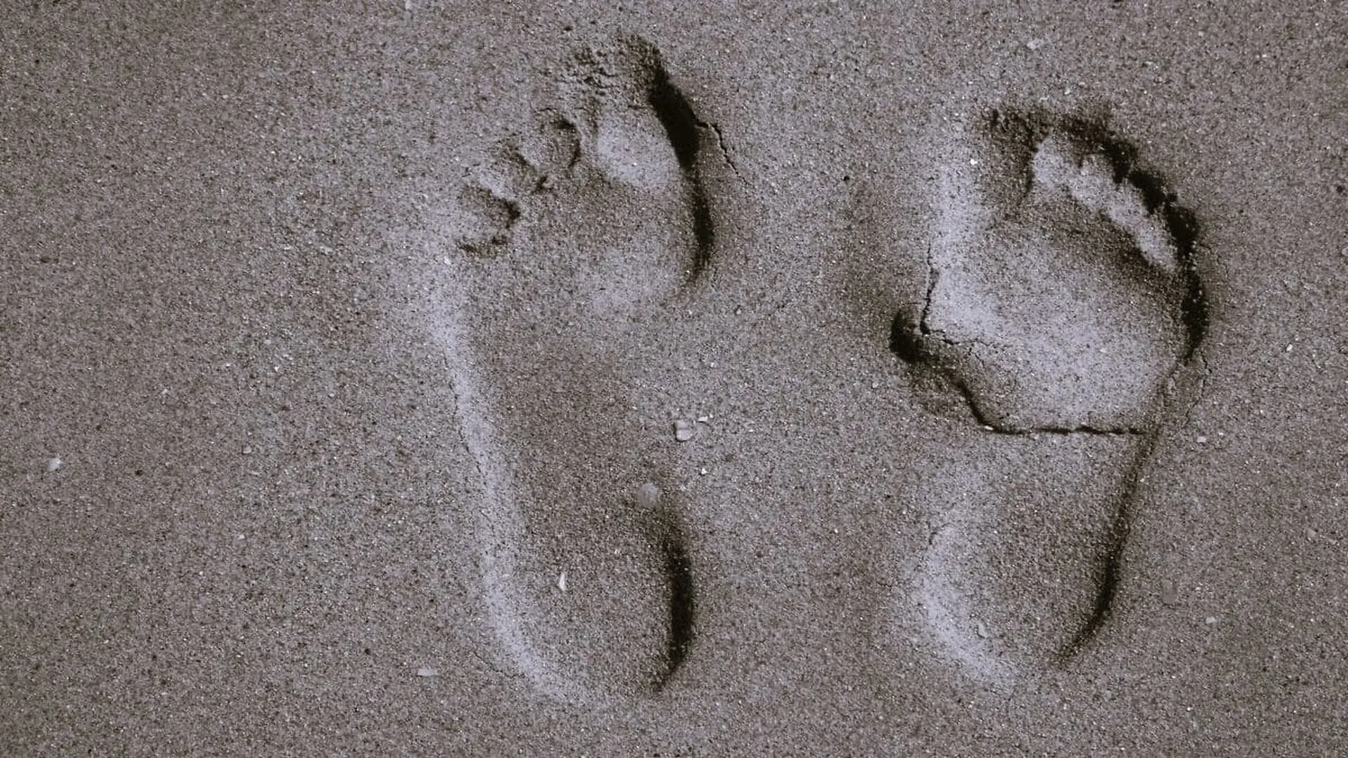 Scientists Found Eight Sets Of 1.4 Million Year Old Footprints And They Werent Expecting Who Made Them Scaled