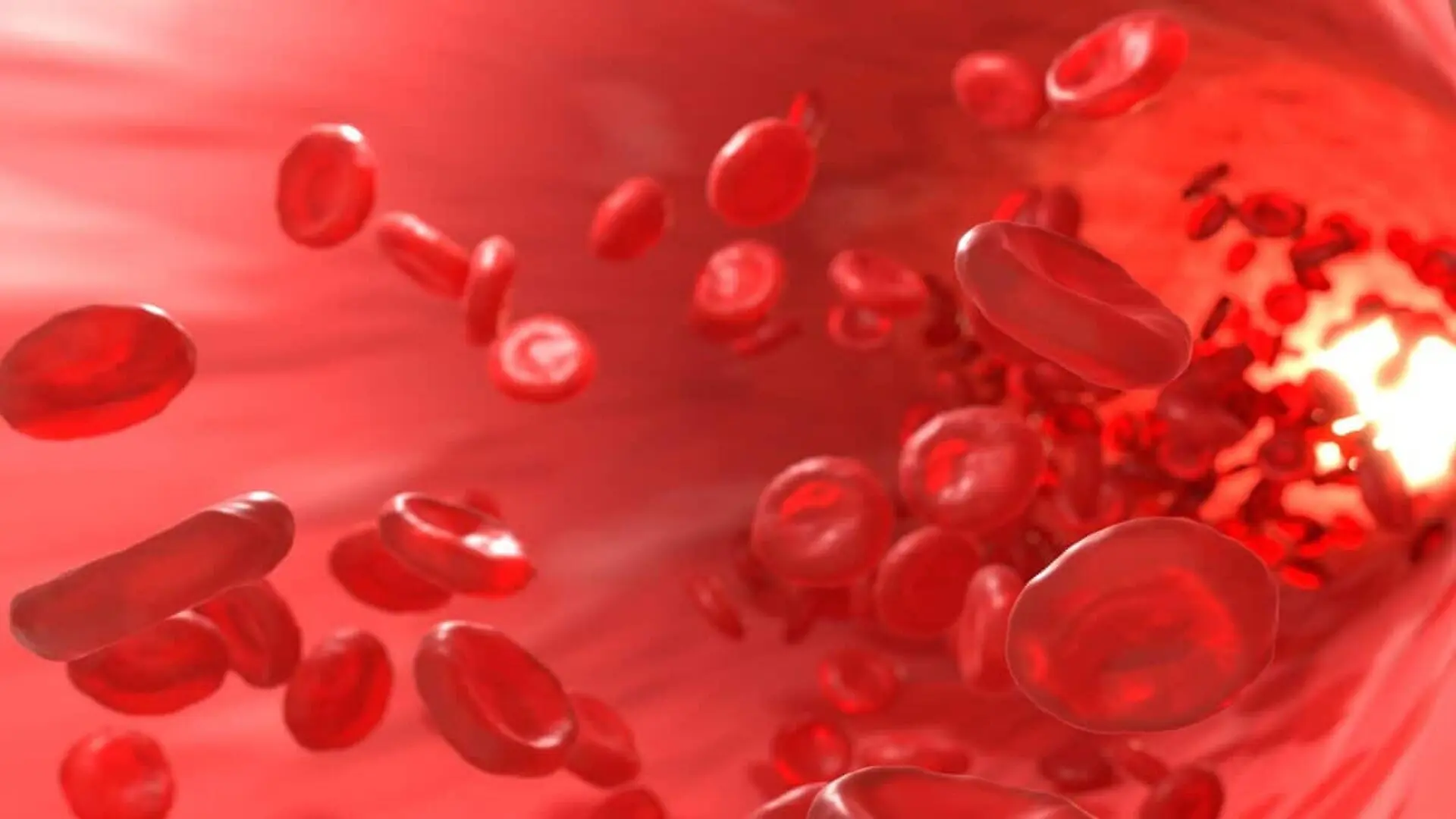 Red Blood Cells Flowing Vigorously Through Blood Vessels Scaled