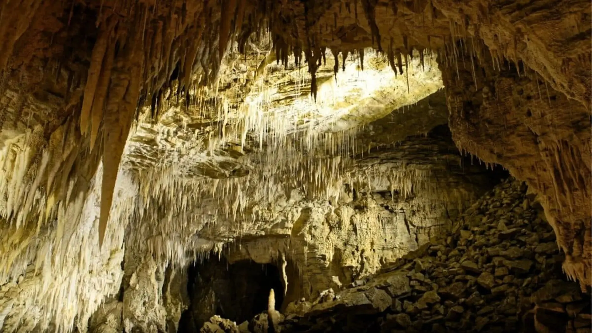 New Zealand Cave Reveals A Lost World Of Life From 1 Million Years Ago Scaled