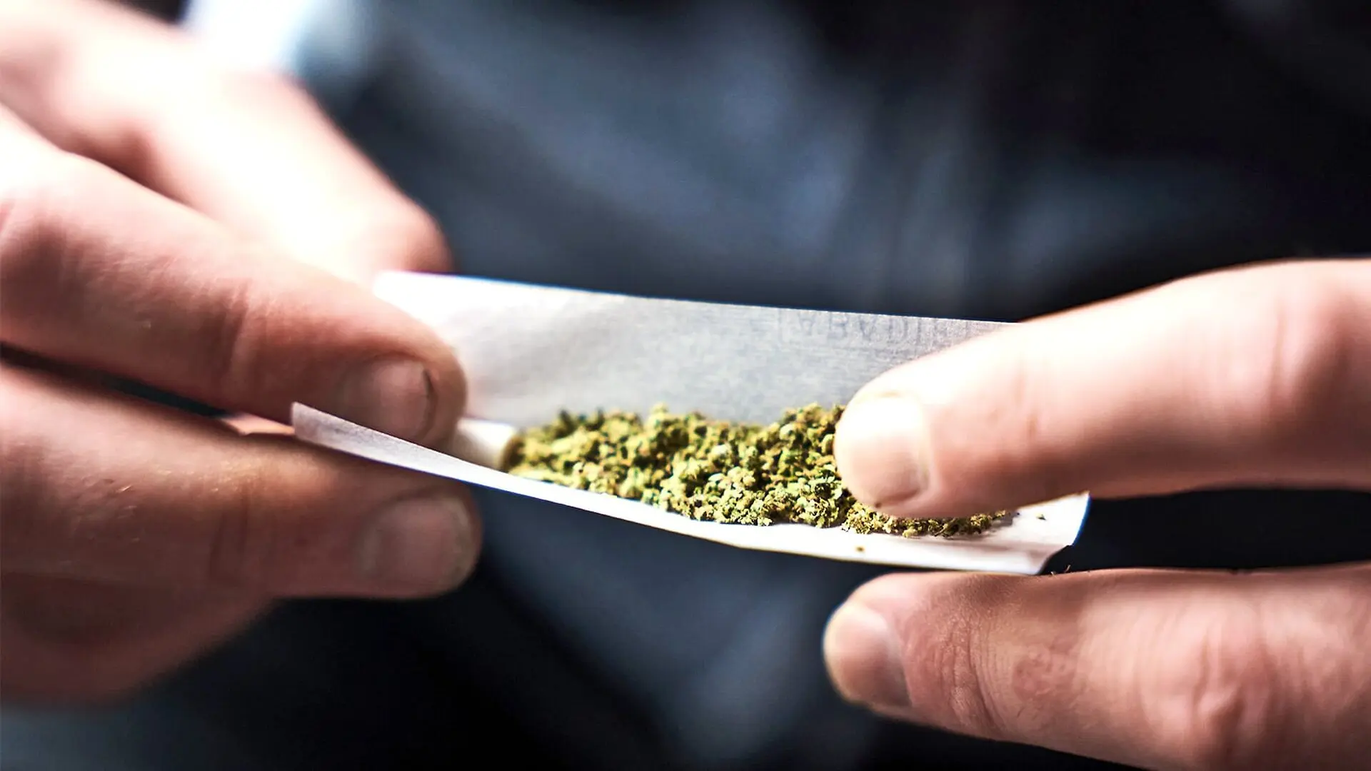 A person puts cannabis in a rolling paper.