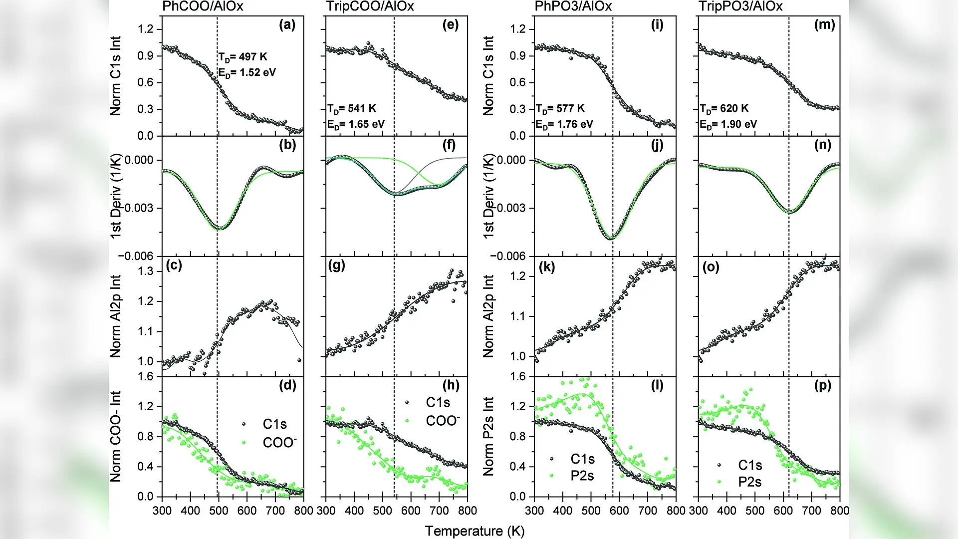 New Molecular Design Strategy Yields Record-Stable Monolayers for Organic Electronics