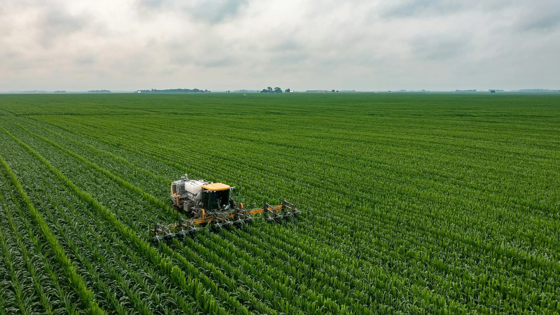 Plant-Based Chemical Derived From Agricultural Waste Could Transform Industry