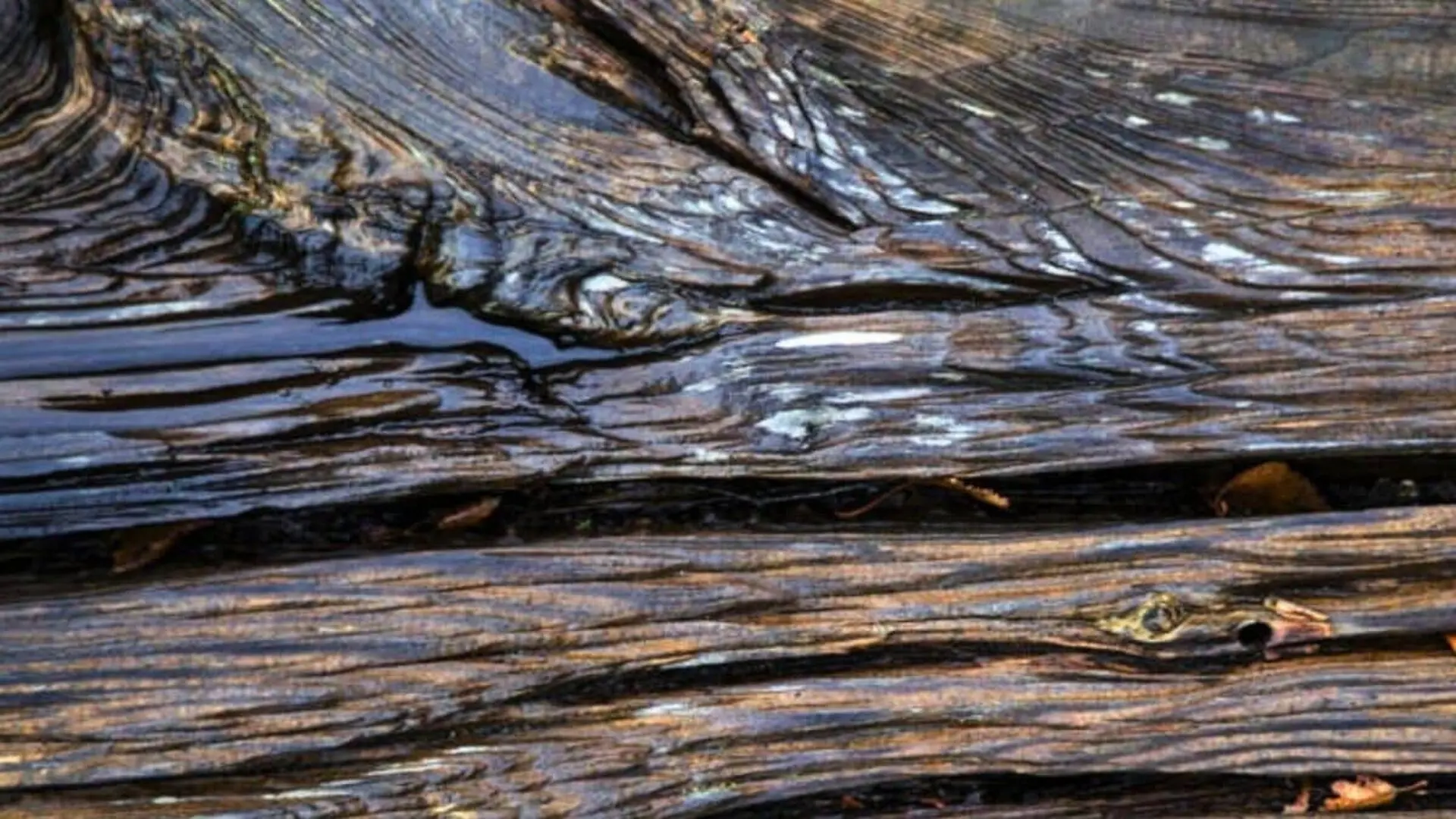A Year Old Wooden Structure That Predates Our Own Species Scaled