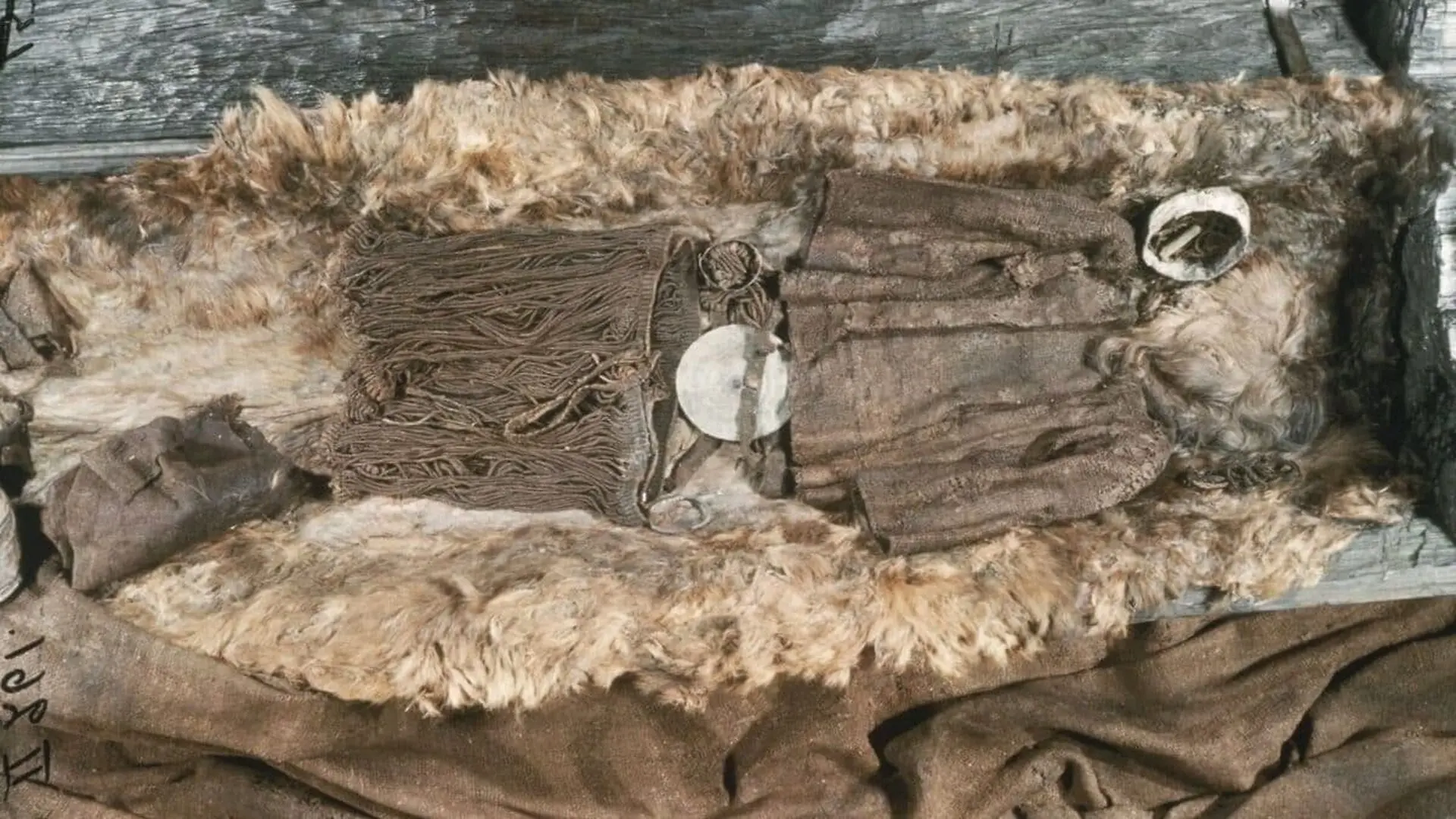 A Farmer Opened A Forgotten Burial Mound In Denmark The Ancient Coffin Inside Revealed A Mystery Scientists Still Study Today Scaled
