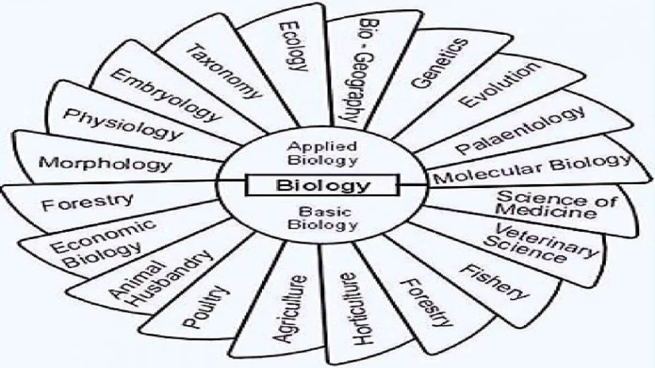 Branches of Biology
