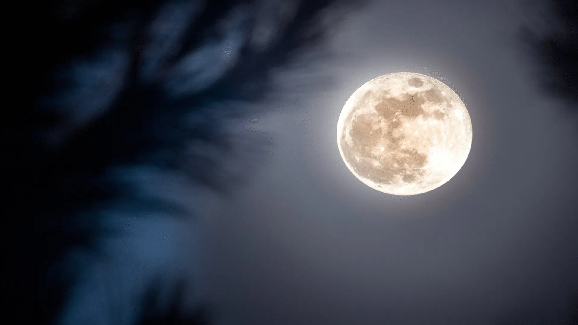 A Brilliant Buck Moon Will Rise This Month Heres When You Can See It Scaled