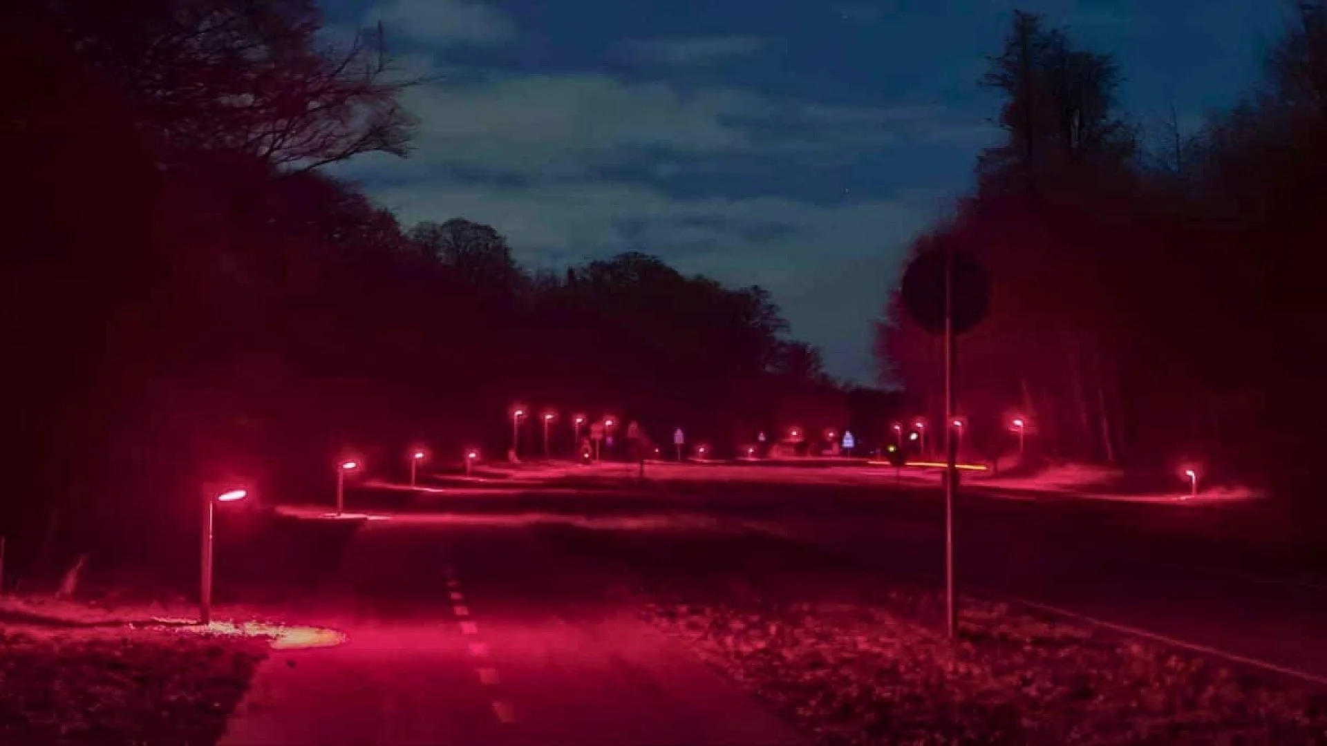 Denmark Is Turning A Road Red After White Streetlights Became A Barrier For Bats Scaled