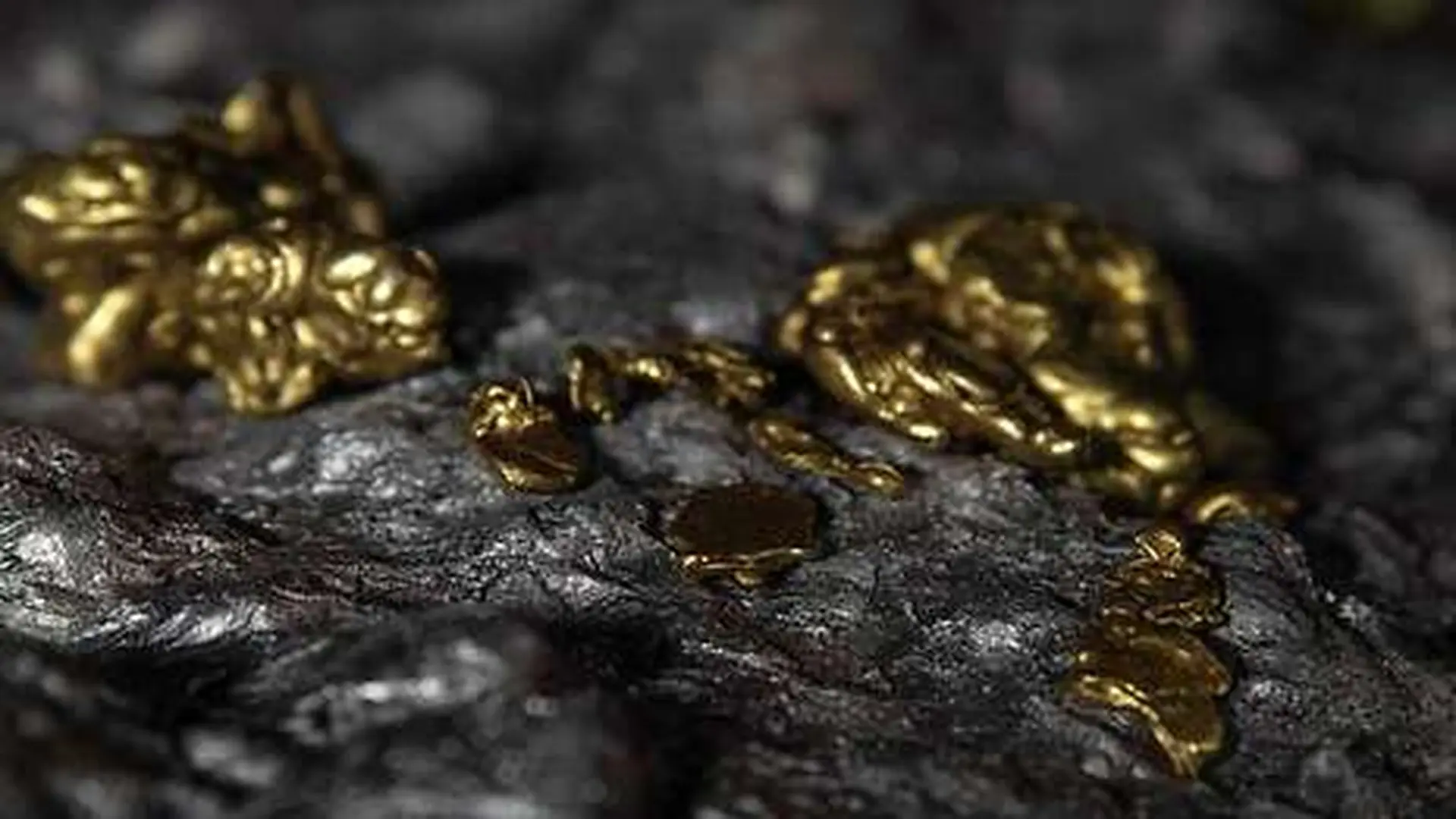 Gold Vein Small Gold Nuggets In A Rock Scaled
