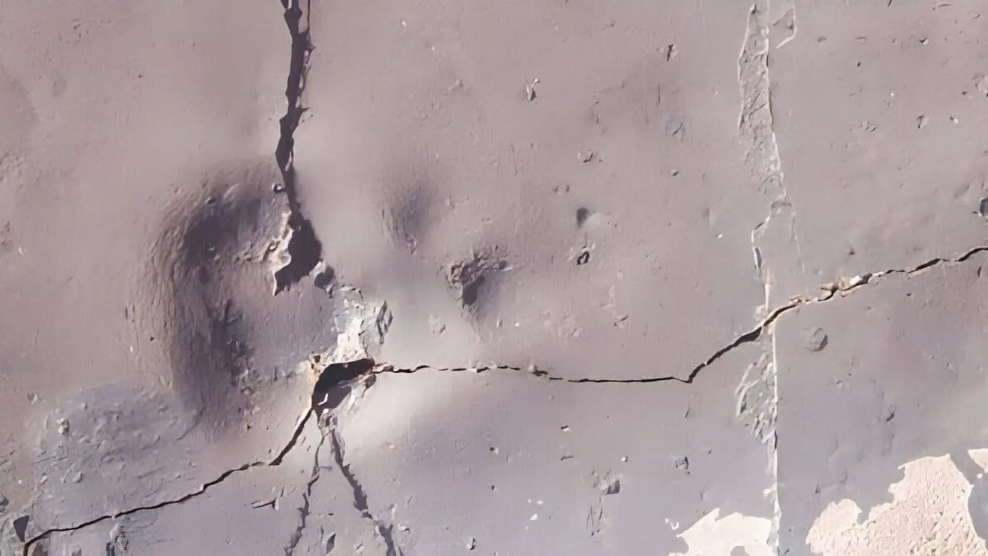 Scientists Just Found A Coin Sized Footprint Preserved In Antarcticas Ancient Soil Scaled