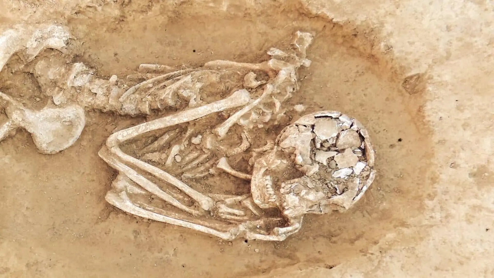 By 2 Million Years Ago Early Homo Already Had Thigh Bones Built Like Ours And It Points To Life On The Ground Scaled