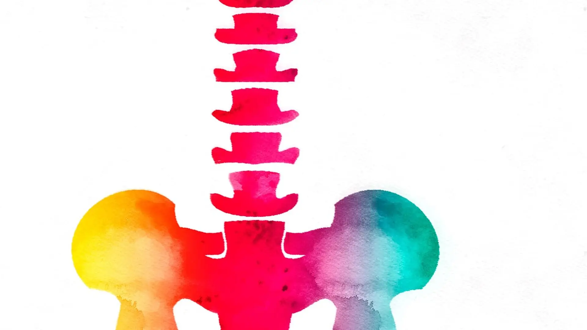 A colorful painting of a spine.