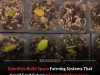 How Mangroves and Waste Recycling Are Paving the Way for Space Farming on the Moon and Mars