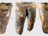 Scientists Uncover 59,000-year-old Neanderthal Tooth In Siberian Cave That Shows Prehistoric Dental Skills