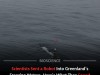 Underwater Robot Reveals Hidden Ecosystem Thriving Beneath Greenland Glacier