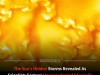 Record-Breaking Solar Images Reveal Ubiquitous Kelvin-Helmholtz Vortices