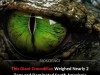 Truck Sized Ancient Crocodile That Hunted Giant Mammals in South American Wetlands Revealed