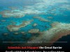 Great Barrier Reef Microbiome Mapped Revealing More Than 500 New Species and 360,000 Viruses