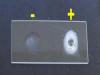 CATALASE TEST