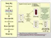 NITRATASE TEST (NITRATE REDUCTION; DENITRIFICATION)