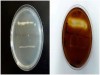 AMYLASE TEST (STARCH HYDROLYSIS)