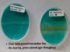 DNASE TEST
