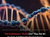 Scientists Discover a Hidden Mechanism That Keeps Evolution Moving After Species Reach Fitness Peaks