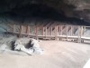Scientists Uncover 200,000-Year-Old Grass Beds in South African Cave