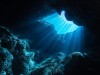 Inside Underwater Caves, Researchers Discovered More Than 1,100 Species That Had Never Been Documented Before