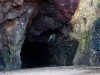 In 1940, a Boy Chased His Dog Into a Tree Hollow and Stumbled Upon a Hidden Cave Filled 17,000-Year-Old Artwork