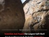 Massive 68 Million Year Old Soft Shell Egg Discovered in Antarctica Defies Evolutionary Rules