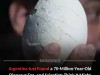 70-Million-Year-Old Carnivore Egg Unveiled in Patagonia: Could It Still Hold a Baby