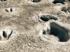 Scientists Discover Rare Fossil Footprints in South Korea Preserved in 106-Million-Year-Old Rock