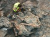 Insect Borings Reveal Lo Hueco Titanosaurs Lingered Exposed For Weeks Before Burial