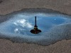 A Middle School Student Built a Sidewalk Material That Absorbs Rainwater Instead of Flooding Streets, Using Materials Most People Throw Away