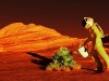 Mars Fungi Could Turn Red Planet Dirt Into Crop-Producing Soil