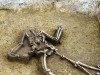What Happened to Their Heads? Archaeologists Found 77 Headless Skeletons in a Pit at a 7,000-Year-Old Village