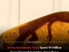 99‑Million‑Year‑Old Gecko Fossil in Amber Reveals Rare Male Reproductive Bulge