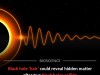 Dying Black Hole Vibrations Could Reveal Hidden Matter We Never Knew Existed