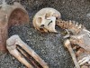 After 1,900 Years, AI Reveals the Face of a Pompeii Victim Caught in Deadly Eruption While Fleeing to the Coast