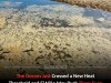 Global Ocean Hits Record Heat in June as El Niño Threatens Even Warmer Waters