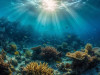 Exploring Coral Formation and Types: A Comprehensive Guide