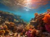 Coral Reefs: Types and Formation Explained