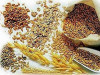 Differences Between Carbohydrates, Proteins and Fats (Lipids)