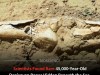 Ancient Leg Bones Recovered From Seabed Reveal Giant Denisovans Were Surprisingly Large