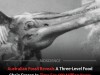 Australian Fossil Reveals Pteros