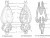 Structure of Rabbit Brain