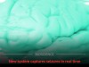 Scientists Capture The First High Resolution 3D Video Of A Seizure Spreading Through The Brain